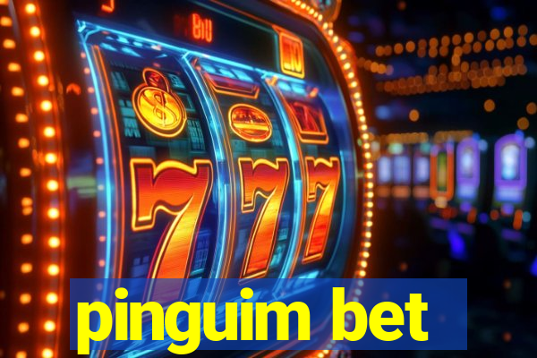 pinguim bet